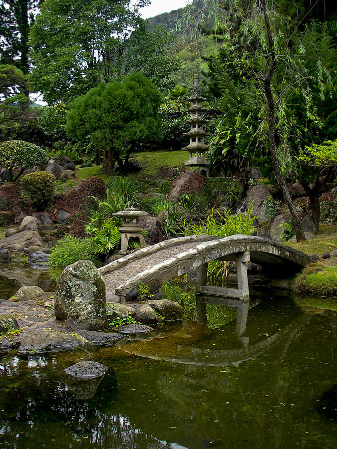Japanese Garden Maui Hawaii Photograph by Waterdancer 