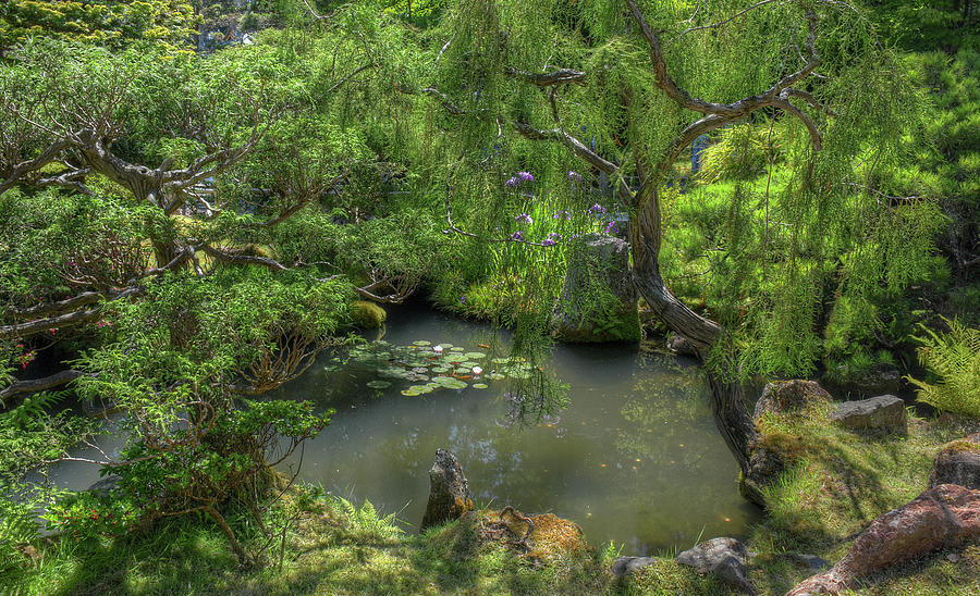 Japanese Garden Photograph by Michael Kirk