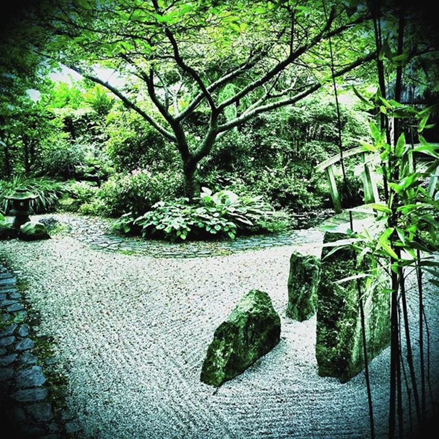 Minimalist Photograph - Japanese Garden #mobarton by Mo Barton