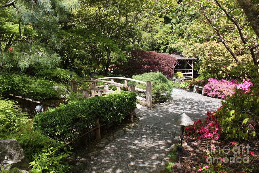 Japanese Garden Path with Azaleas Photograph by Carol Groenen