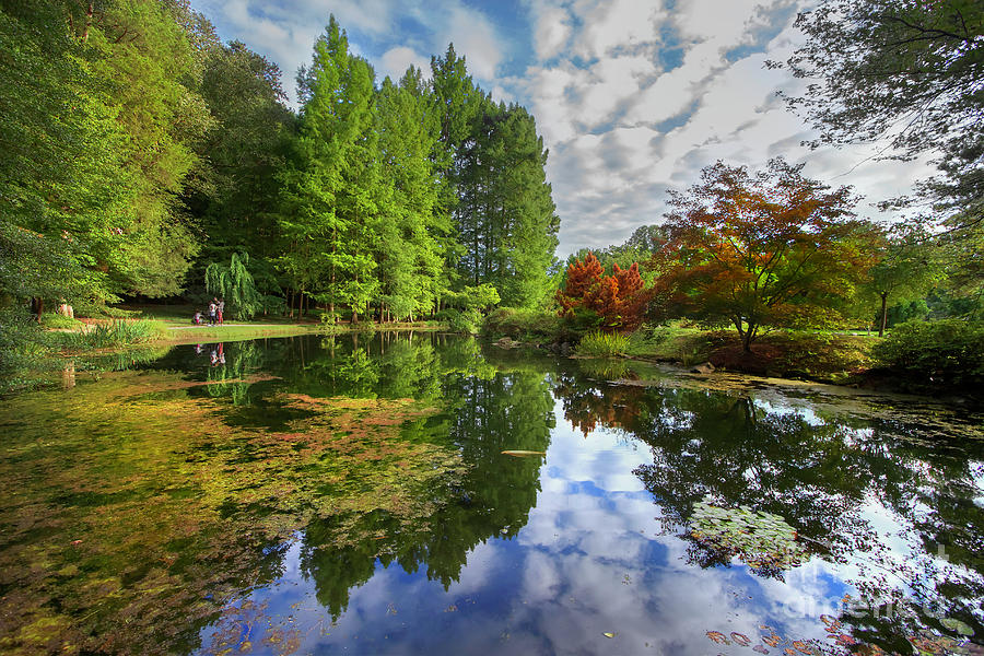 Japanese Garden Pond I Photograph by Karen Jorstad