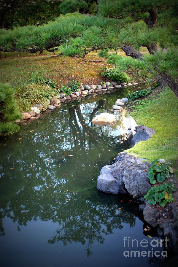 Japanese Garden Reflection Photograph by Carol Groenen