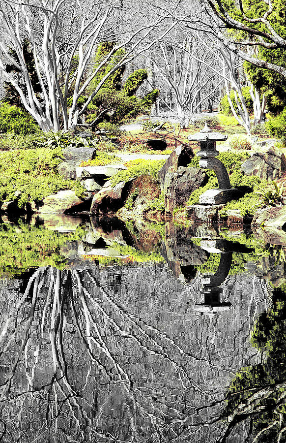 Tree Photograph - Japanese garden reflections by Jan Stittleburg