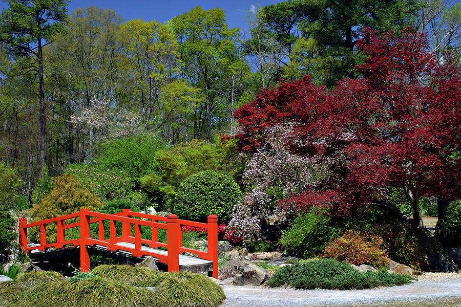Japanese Garden Photograph by Ronnie And Frances Howard