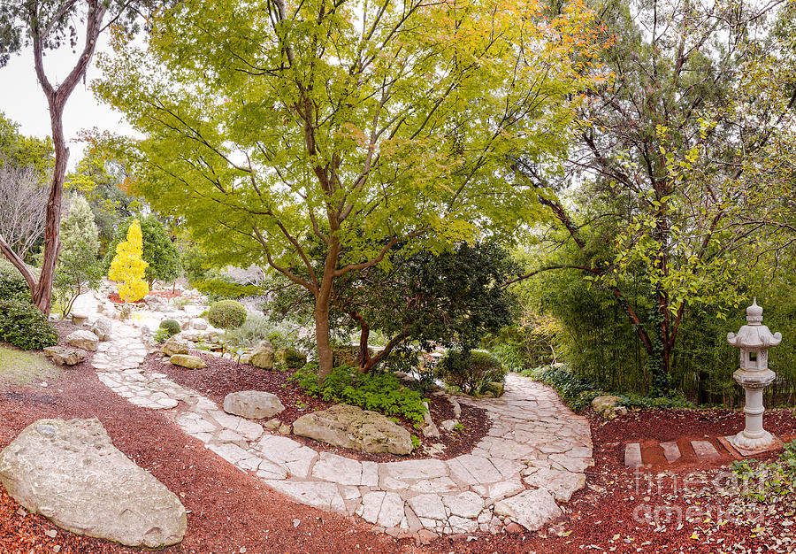 Japanese Garden Serenity at Zilker Botanical Gardens - Austin Texas Hill Country Photograph by Silvio Ligutti