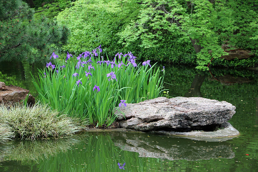 Japanese Gardens - Spring 02 Photograph by Pamela Critchlow
