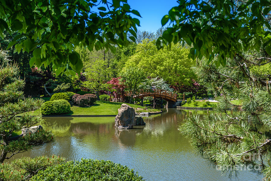 Japanese Garden Spring Photograph
