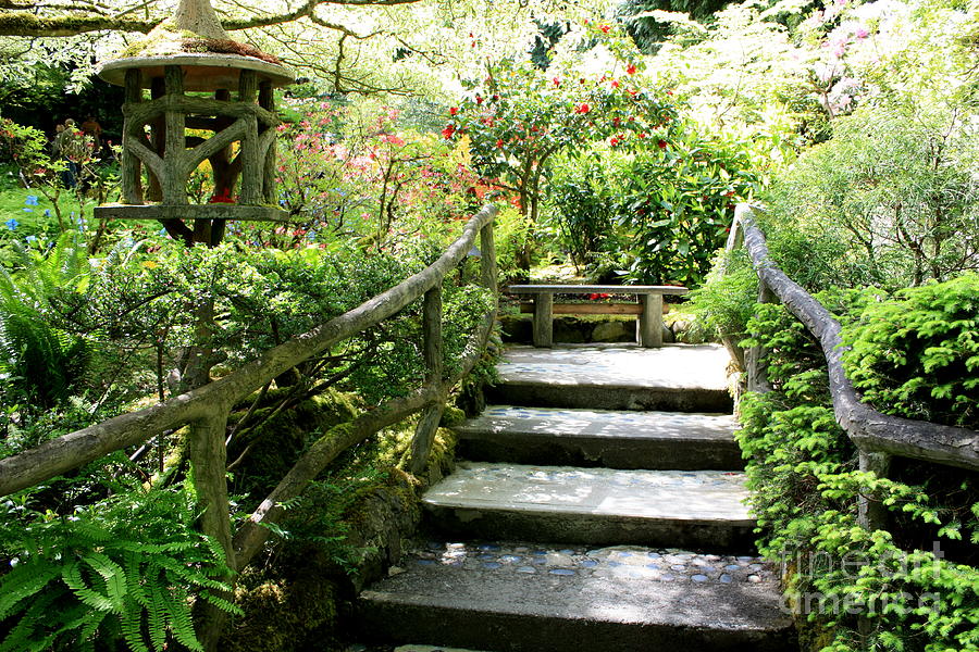 Japanese Garden Steps Photograph by Carol Groenen