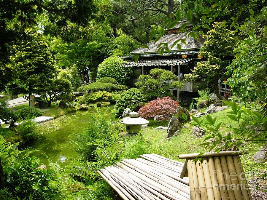 Japanese Garden Teahouse Photograph by Carol Groenen