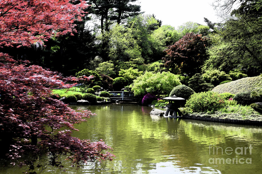 Japanese Garden Photograph by Tom Wurl