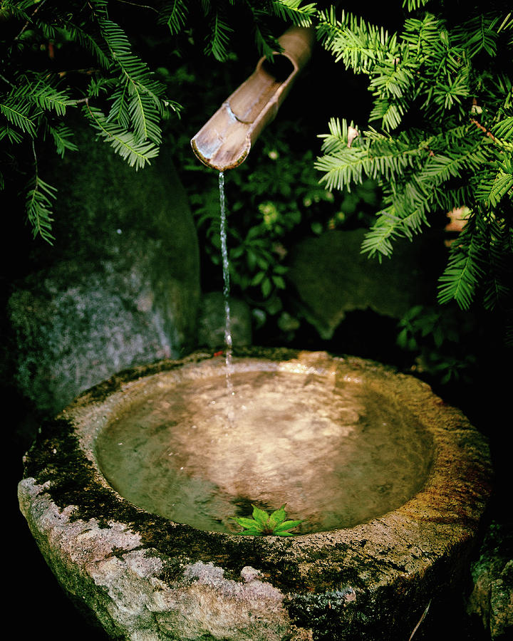 Japanese Garden Water Fountain Photograph by Lawrence Knutsson