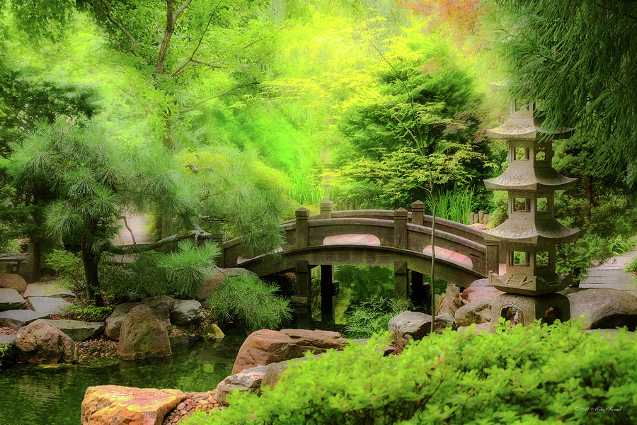 Japanese Garden - Water under the bridge Photograph by Mike Savad