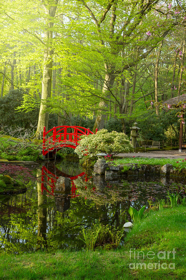 Japanese Garden With Bridge Photograph