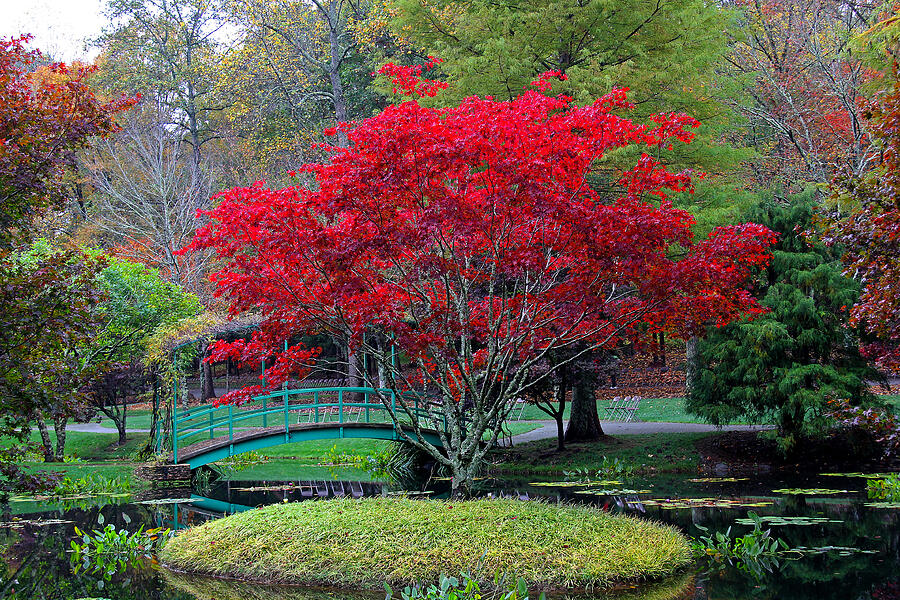 Japanese Gardens 10 Photograph by Richard Krebs