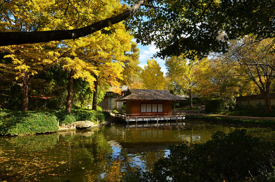 Japanese Gardens 2541a Photograph by Ricardo J Ruiz de Porras