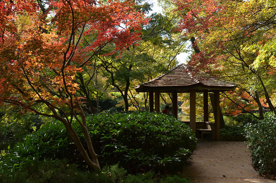 Japanese Gardens 2577 Photograph by Ricardo J Ruiz de Porras