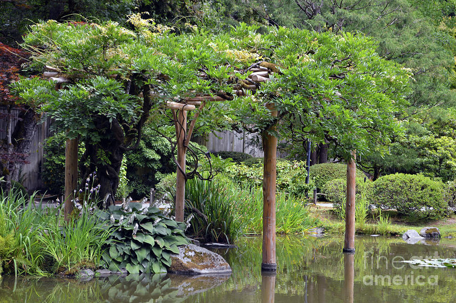 Japanese Gardens 4 Photograph by Carol Eliassen