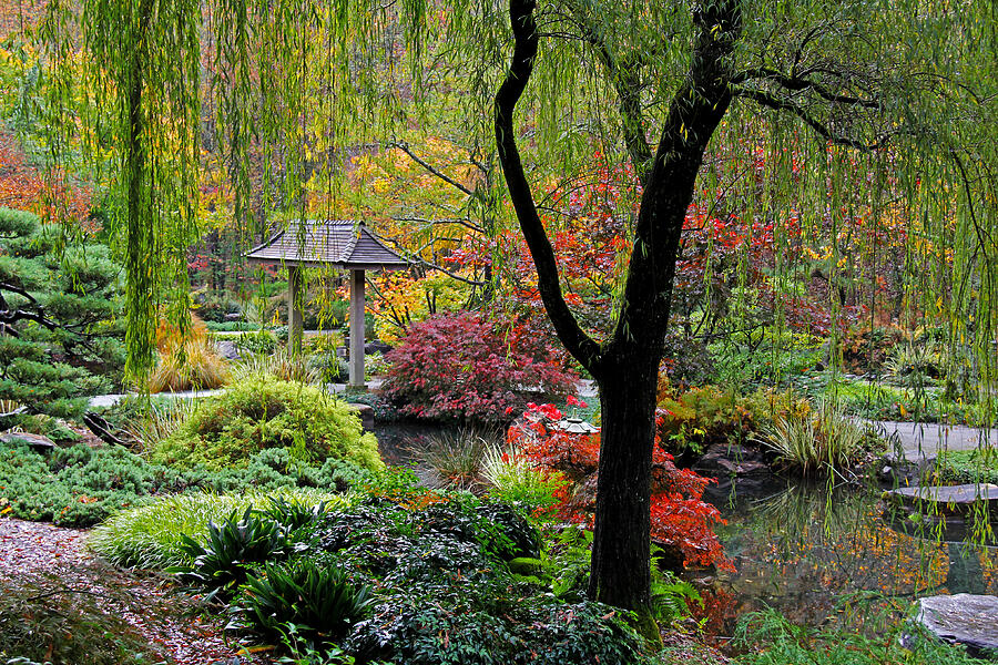 Japanese Gardens 5 Photograph by Richard Krebs