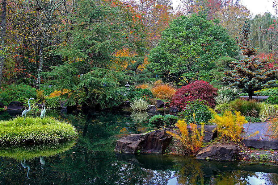 Japanese Gardens 6 Photograph by Richard Krebs