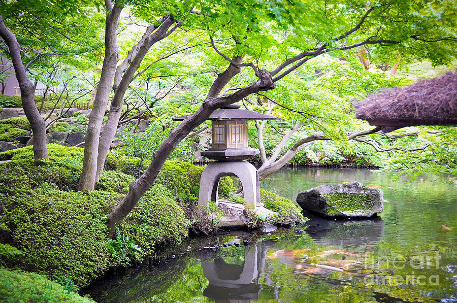Japanese Gardens Photograph by Anna Serebryanik