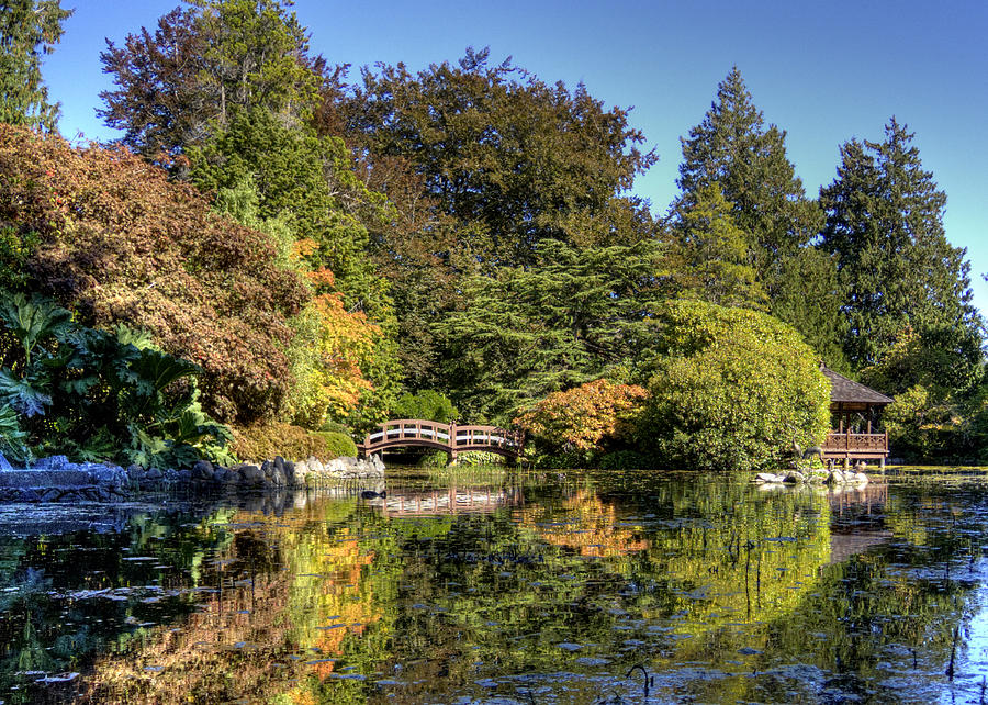 Japanese Gardens at Royal Roads Photograph by Doug Matthews