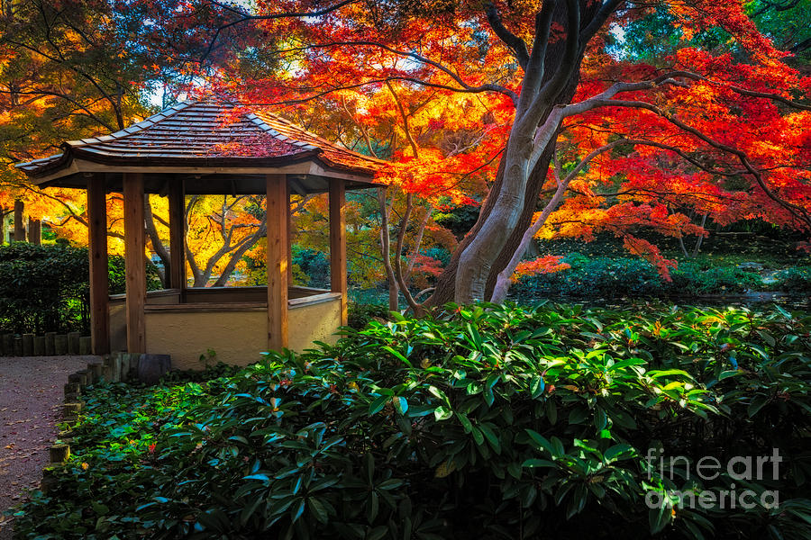 Japanese Gardens Photograph by Inge Johnsson
