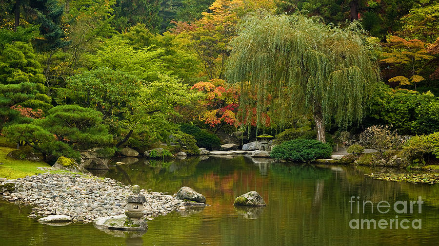 Japanese Gardens Photograph by Mike Reid