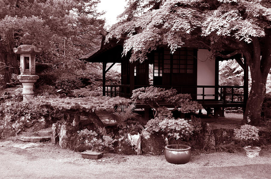 Japanese Gardens Of County Kildare Photograph