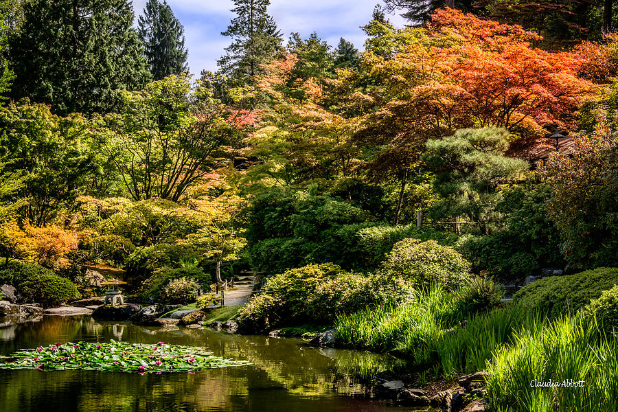 Japanese Gardens Seattle Photograph by Claudia Abbott