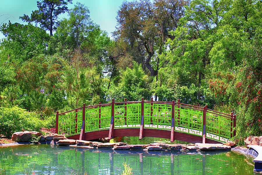 Japanese Gardens View 51 Photograph by Carlos Diaz