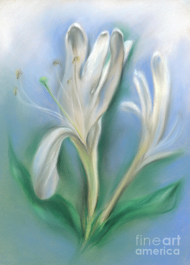 Japanese Honeysuckle Flowers Painting by MM Anderson