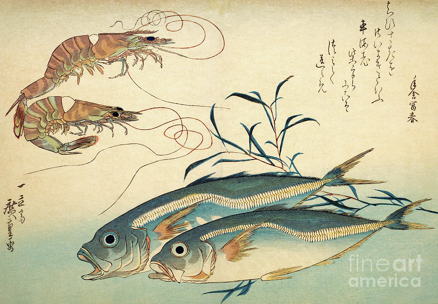 Hiroshige Painting - Japanese Horse Mackerel and Japanese Tiger Prawn by Hiroshige