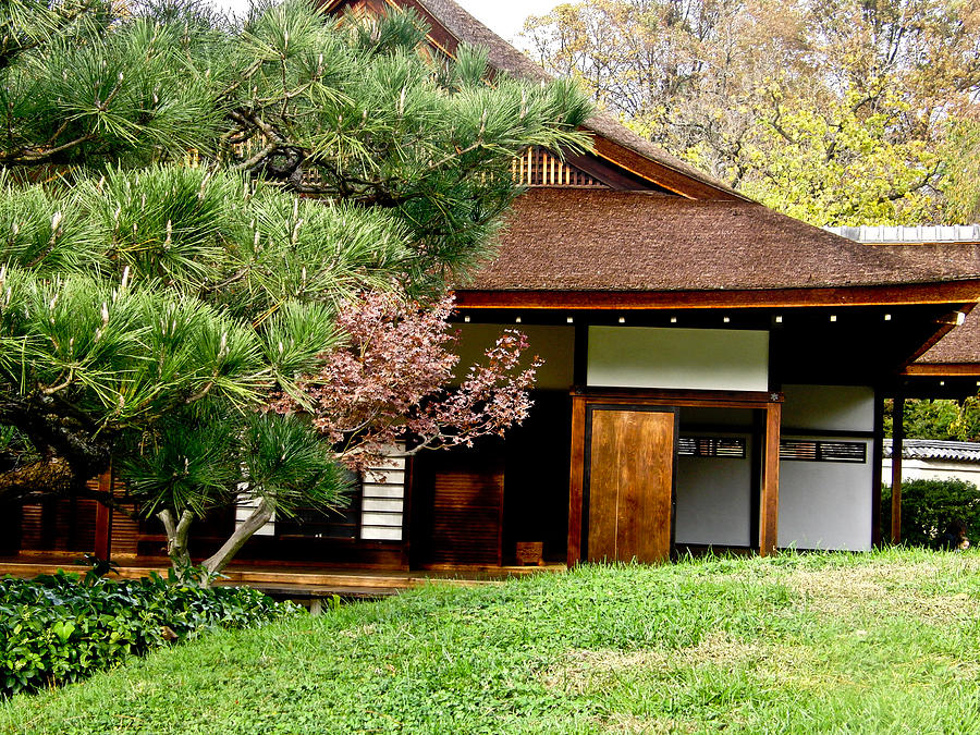 A house in japan