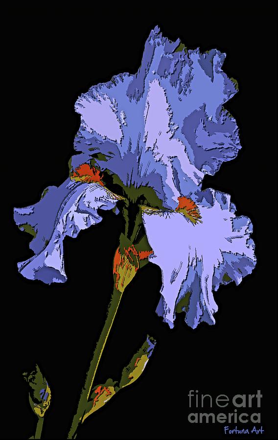 Japanese Iris-Blue beauty Painting by Dragica Micki Fortuna