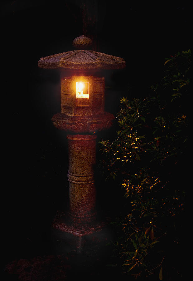 Japanese Lantern shines in the dark Photograph by John Christopher