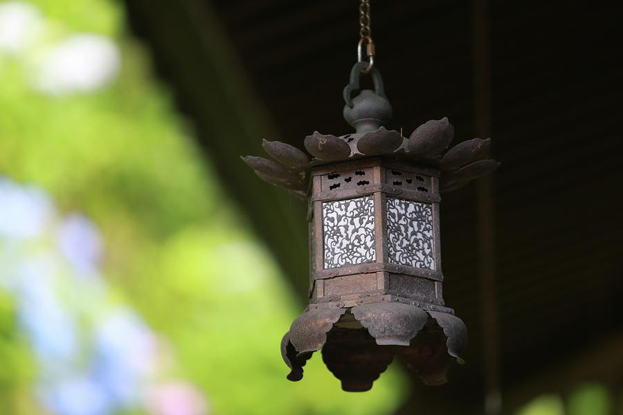 Japanese Lantern Photograph by Brent Smith - Fine Art America