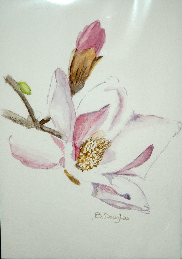 Japanese Magnolia - Art Print