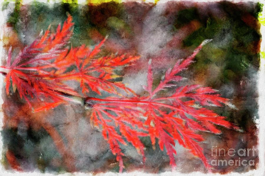 Japanese Maple - Digital Paint Digital Art by Debbie Portwood