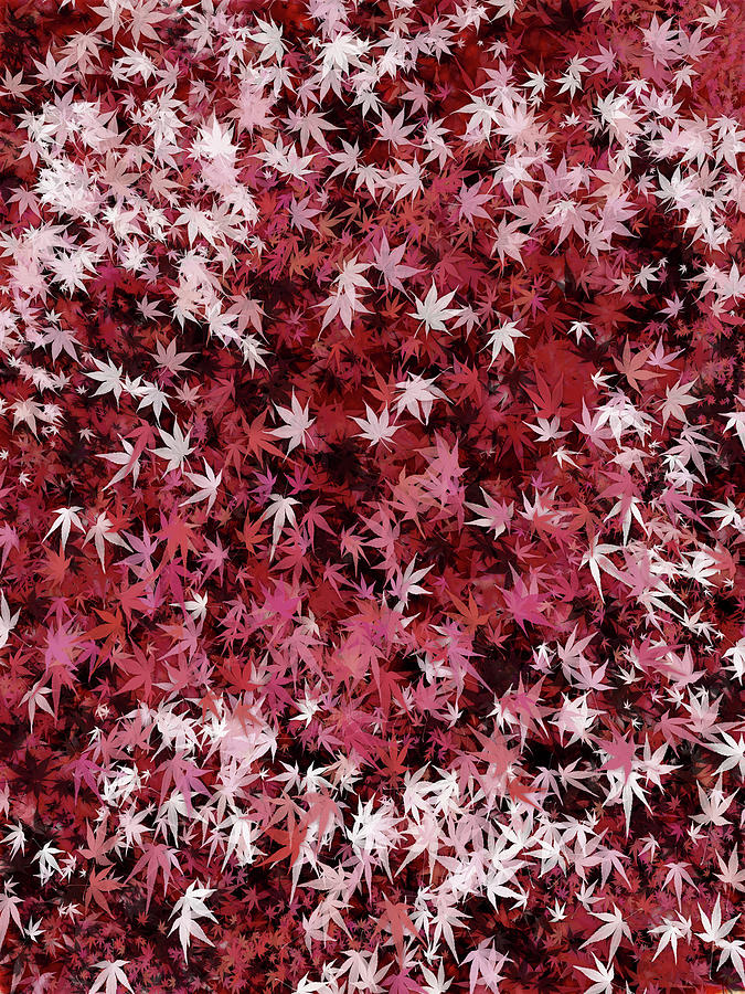 Japanese Maple Leaves Digital Art by Matthew Lindley