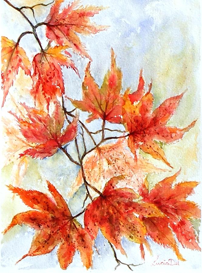 Watercolour Painting - Japanese Maple by Lucia Del