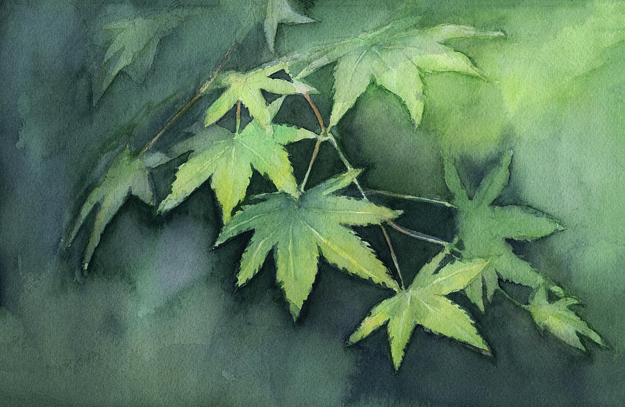 Spring Painting - Japanese Maple  by Olga Shvartsur