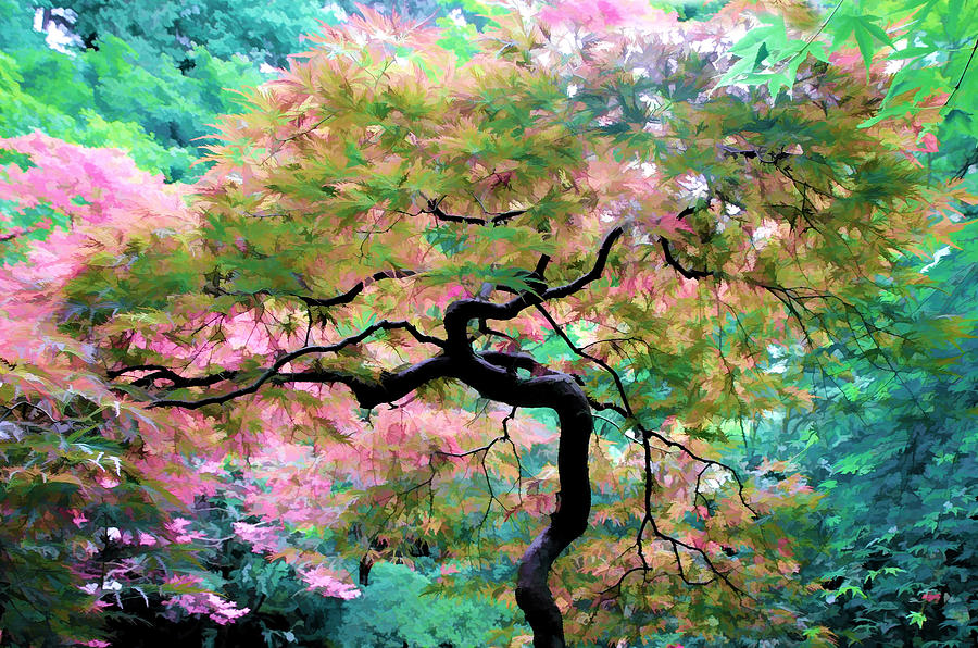 Japanese Maple Tree Painting Photograph by Athena Mckinzie