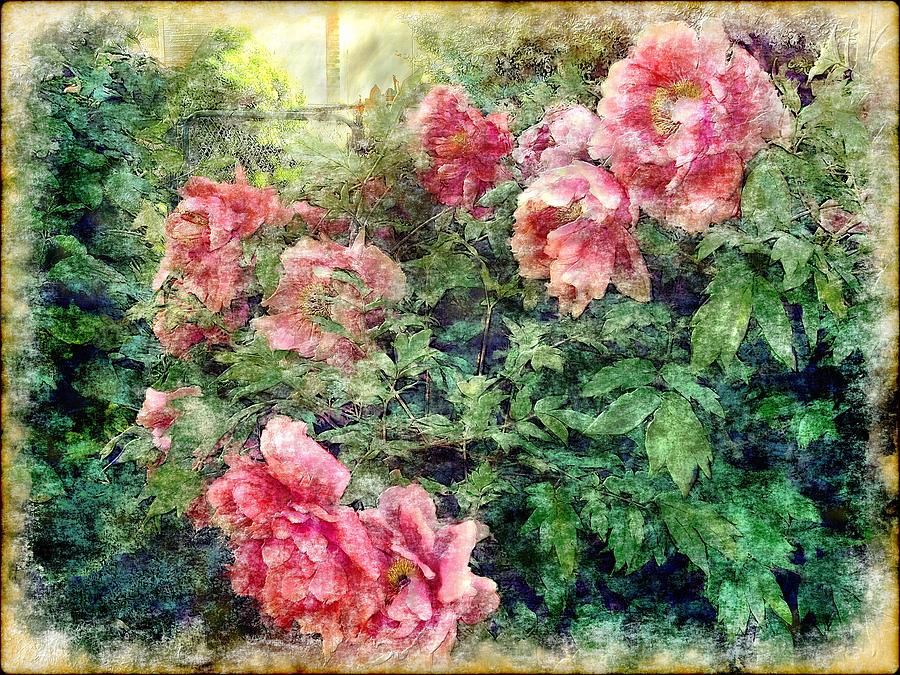 Japanese Peonies From My Garden Digital Art by Grace Iradian
 Peony Japanese Art