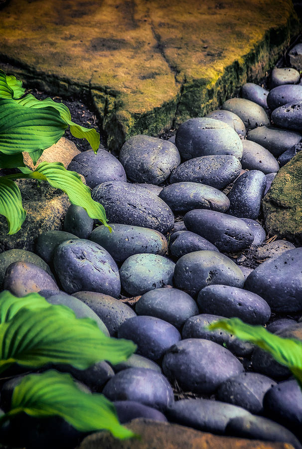 Nature Photograph - Japanese Rock Garden by Julie Palencia