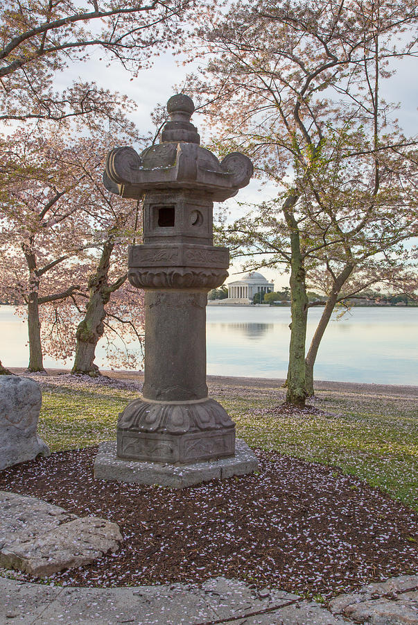 Japanese statue and cherry trees Photograph by Jack Nevitt