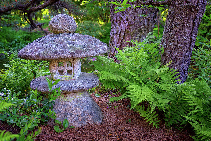 Acadia National Park Photograph - Japanese Stone Lantern in Asticou Garden by Rick Berk