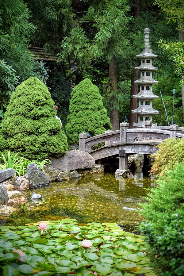 Japanese Style Retreat Photograph By Mary Zeman - Fine Art America