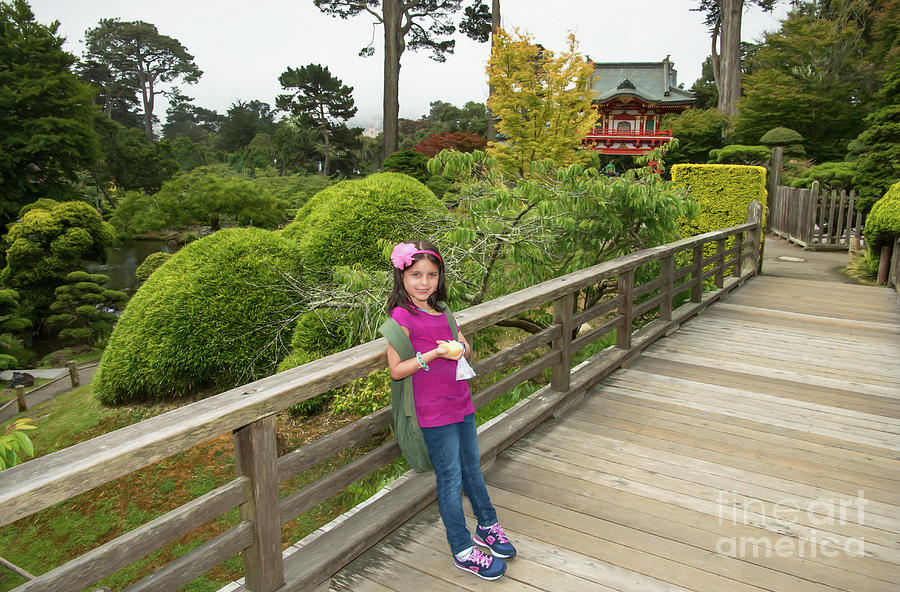 Japanese Tea Garden in Golden Gate Park Photograph by David Oppenheimer