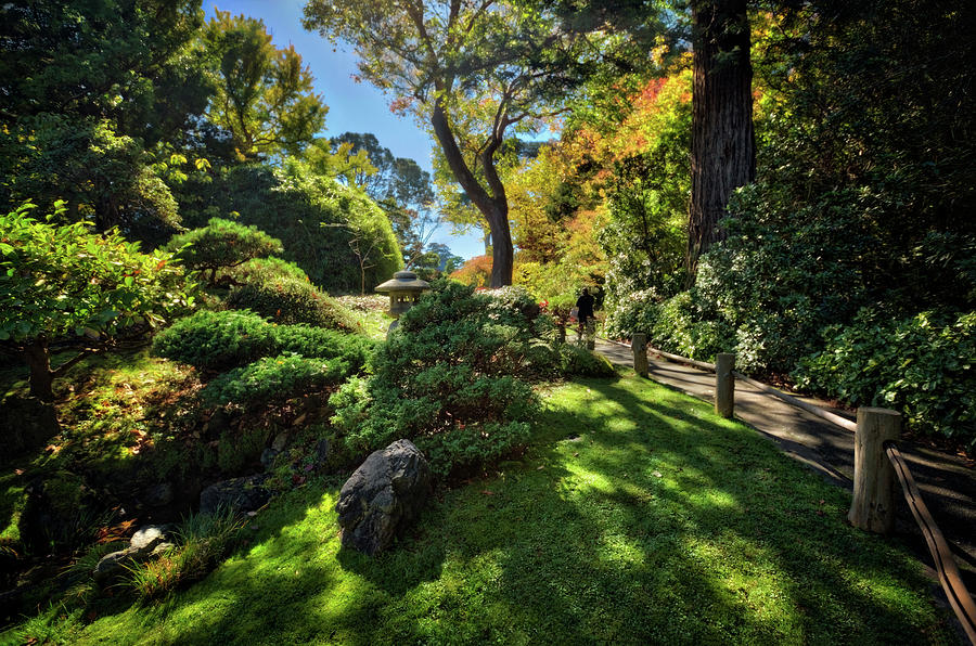 Japanese Tea Garden Path at Golden Gate Park - San Francisco Photograph by Jennifer Rondinelli Reilly - Fine Art Photography
