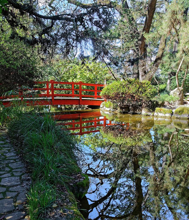 Bridge Photograph - Japanese Tea Garden by Robert Urwyler
